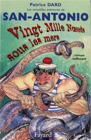 Cover of the book Vingt mille noeuds sous les mers by François Lenglet
