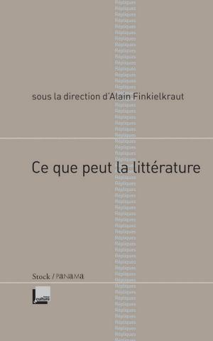 Book cover of Ce que peut la littérature