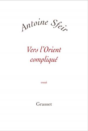 Book cover of Vers l'orient compliqué