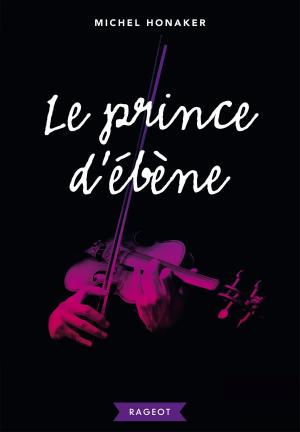 Cover of the book Le prince d'ébène by Agnès Laroche