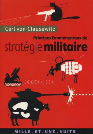 Cover of the book Principes fondamentaux de stratégie militaire by Madeleine Chapsal
