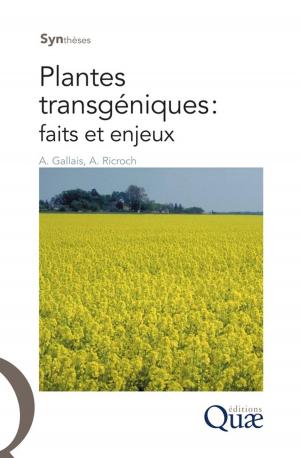 Cover of the book Plantes transgéniques : faits et enjeux by Sylvain Perret, Stefano Farolfi, Rashid Hassan