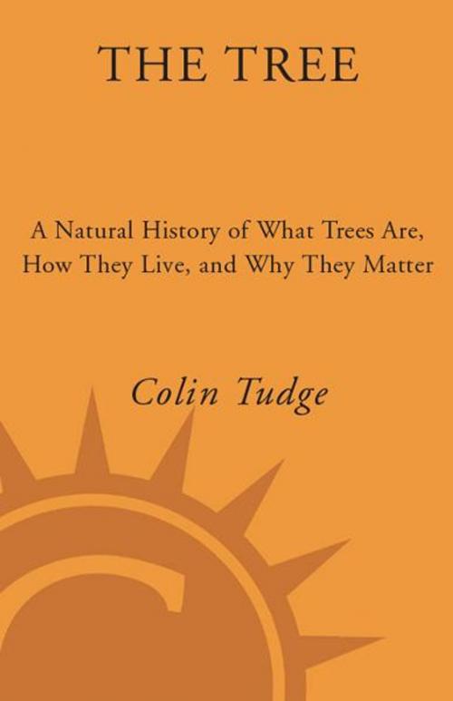 Cover of the book The Tree by Colin Tudge, Crown/Archetype
