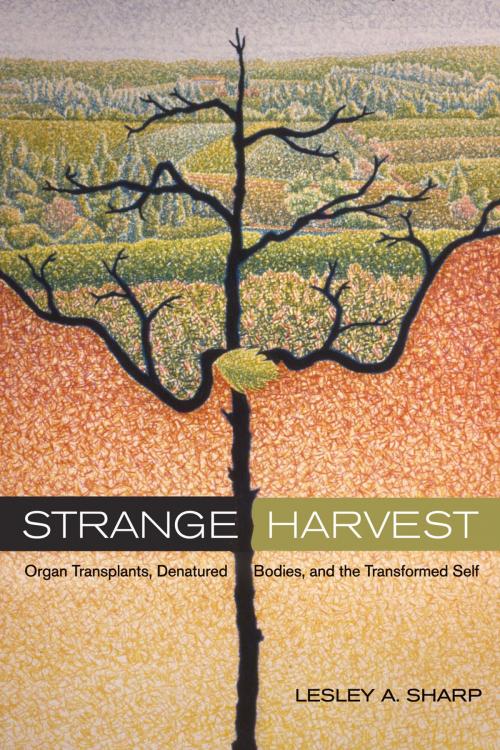 Cover of the book Strange Harvest by Lesley A. Sharp, University of California Press
