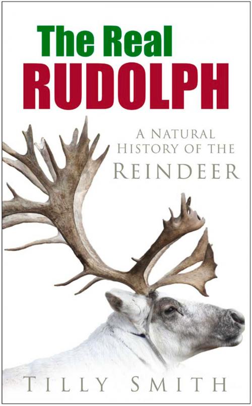 Cover of the book Real Rudolph by Tilly Smith, The History Press