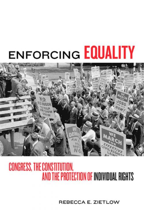 Cover of the book Enforcing Equality by Rebecca E Zietlow, NYU Press