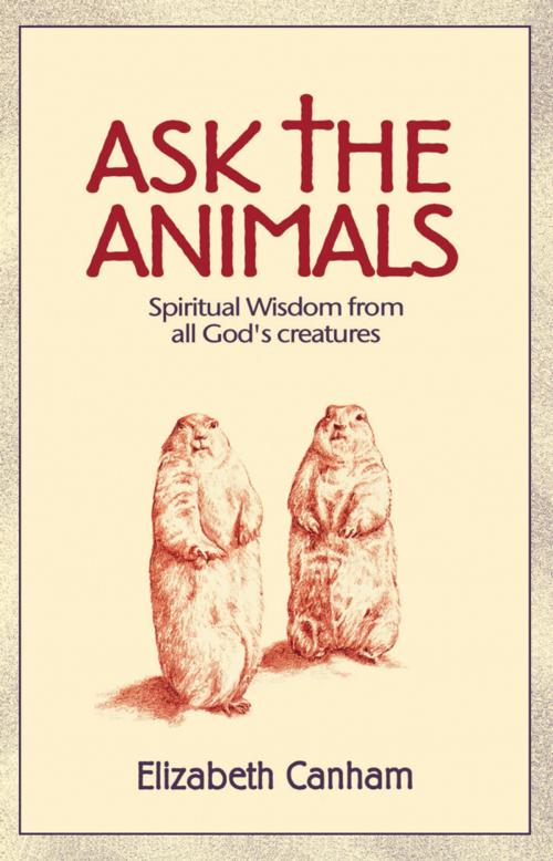 Cover of the book Ask the Animals by Elizabeth Canham, Church Publishing Inc.