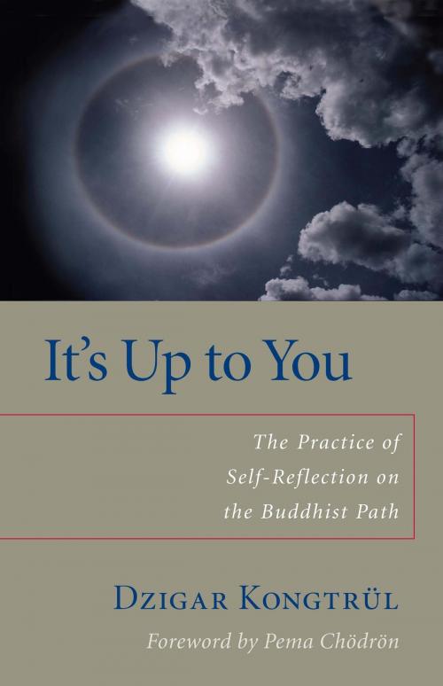 Cover of the book It's Up to You by Dzigar Kongtrul, Helen Berliner, Shambhala