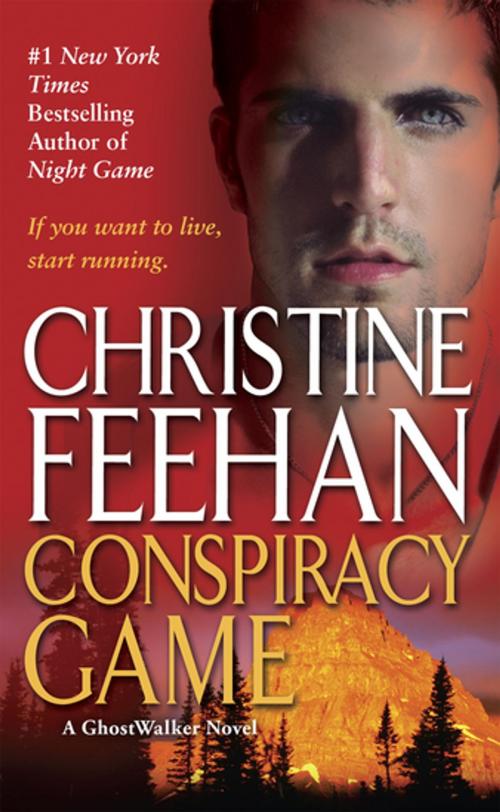 Cover of the book Conspiracy Game by Christine Feehan, Penguin Publishing Group