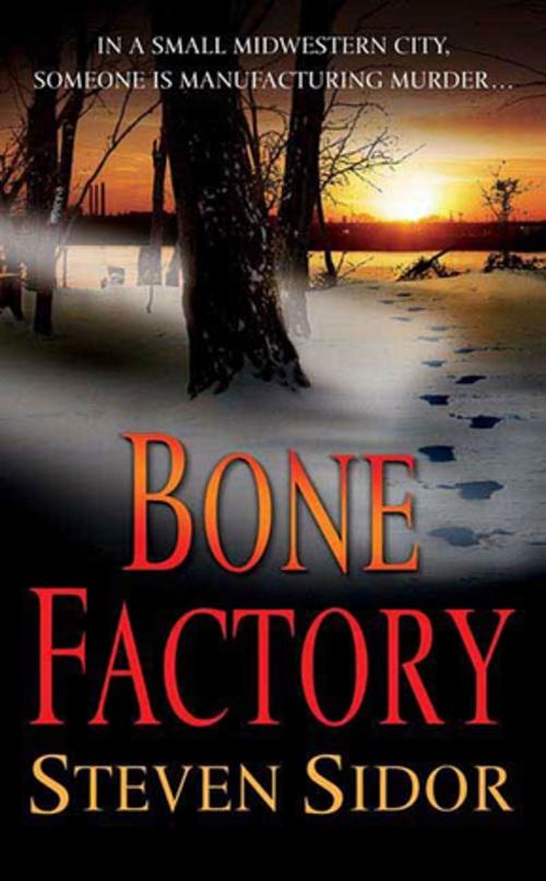 Cover of the book Bone Factory by Steven Sidor, St. Martin's Press
