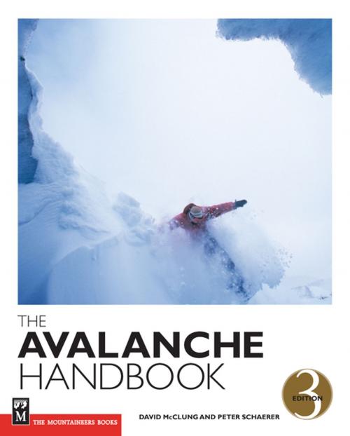 Cover of the book The Avalanche Handbook by Peter Schaerer, David McClung, Mountaineers Books