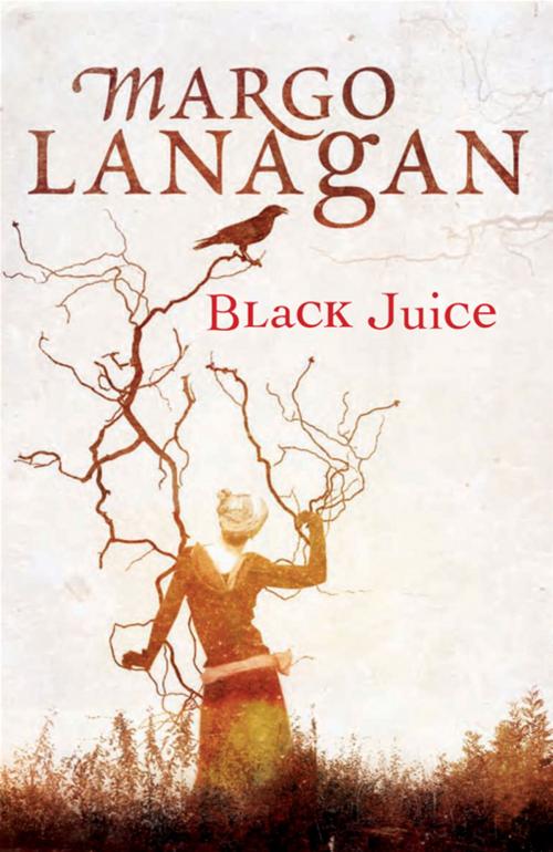 Cover of the book Black Juice by Margo Lanagan, Allen & Unwin