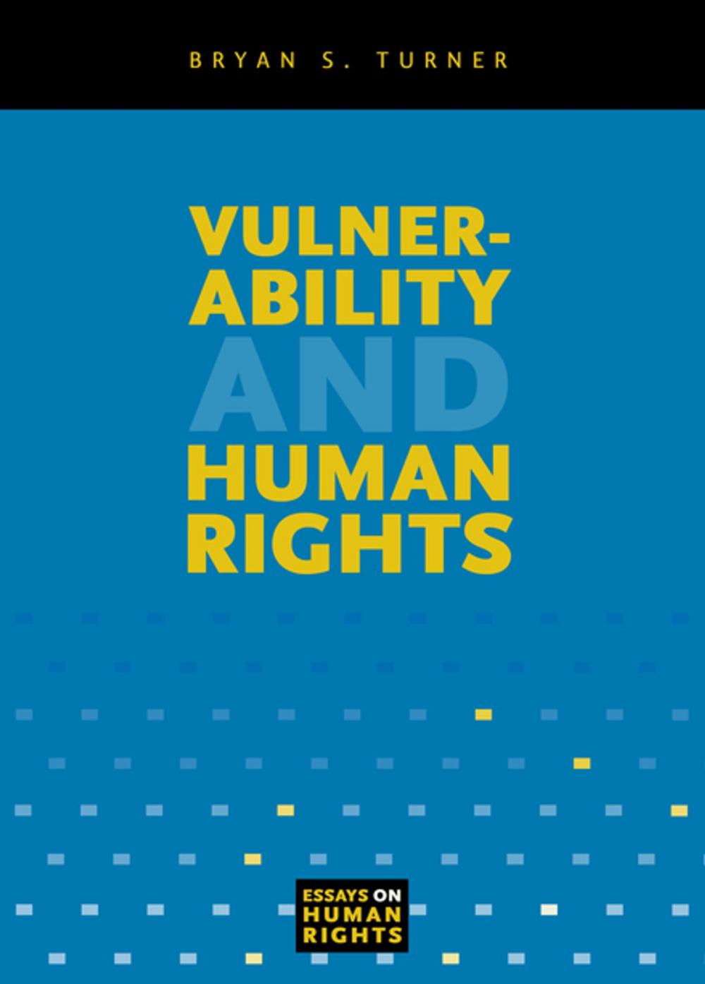 Big bigCover of Vulnerability and Human Rights