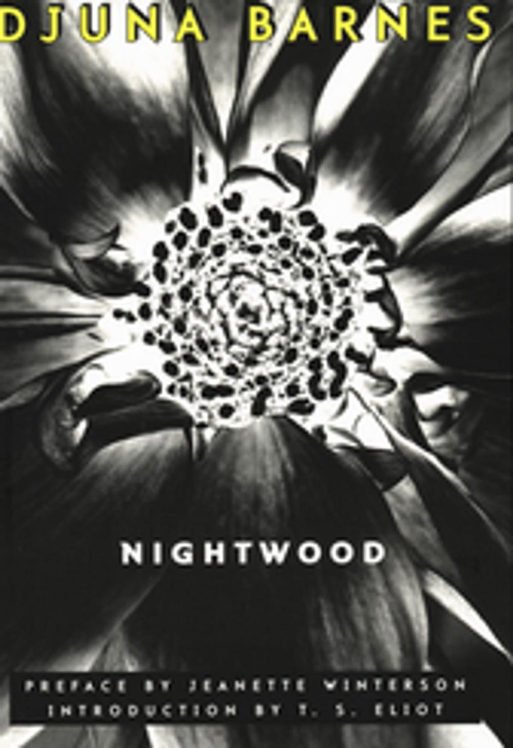 Big bigCover of Nightwood (New Edition)
