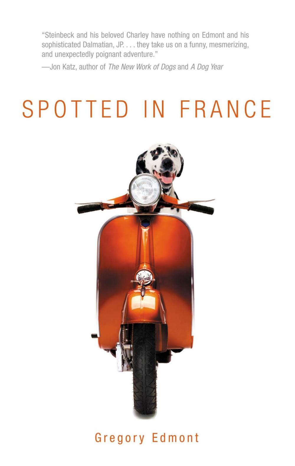 Big bigCover of Spotted in France