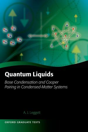 Cover of the book Quantum Liquids by James A. Diamond