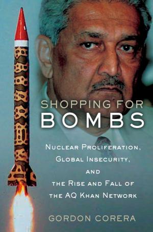 Cover of the book Shopping for Bombs by David Duquette