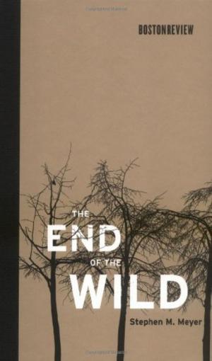 Cover of the book The End of the Wild by Daniel E. Zoughbie