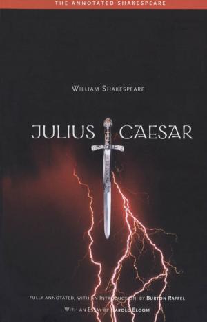 Cover of the book Julius Caesar by R. J. B. Bosworth