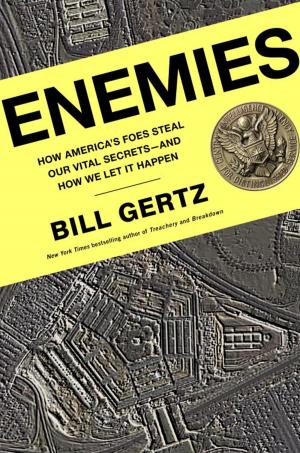 Cover of the book Enemies by Ann McMurray, Dr. Gregory L. Jantz