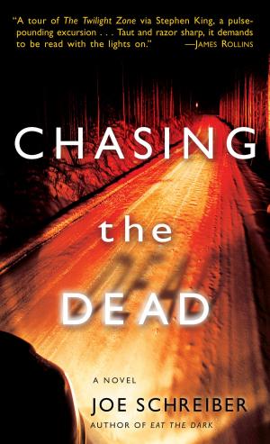 Cover of the book Chasing the Dead by Amber Hart