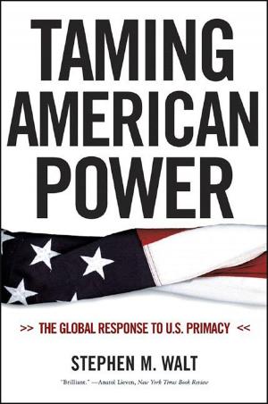 Cover of the book Taming American Power: The Global Response to U. S. Primacy by Norton Professional Books