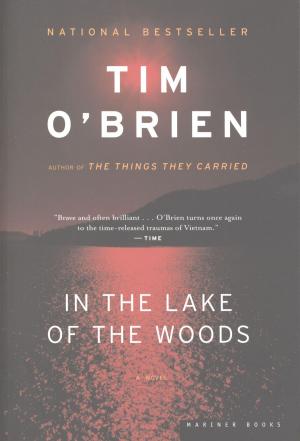 Cover of the book In the Lake of the Woods by Mark Beech
