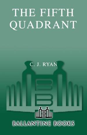Book cover of The Fifth Quadrant