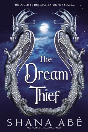 Cover of the book The Dream Thief by Stephen Hawking