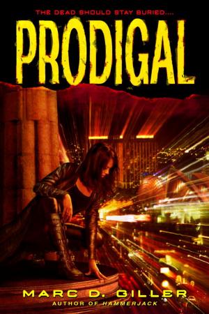 Cover of the book Prodigal by Stefanie Pintoff