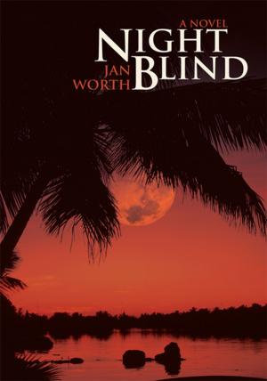 Cover of the book Night Blind by Dr. Aaron McNair Sr.