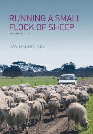 Book cover of Running a Small Flock of Sheep