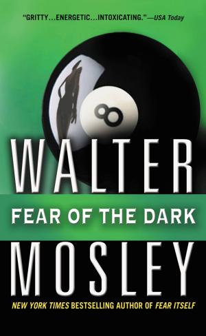 Cover of the book Fear of the Dark by Walter Mosley