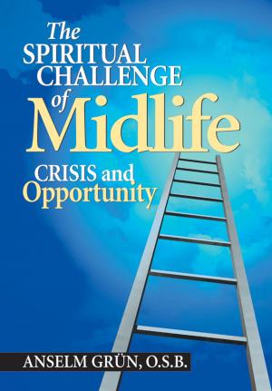 Cover of the book The Spiritual Challenge of Midlife by Lukefahr, Oscar