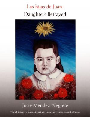 Book cover of Las hijas de Juan