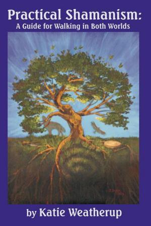 Cover of the book Practical Shamanism by Ritesh Gupta