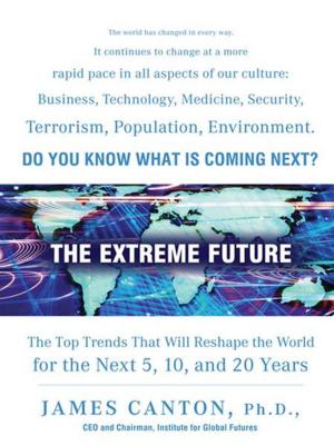 Cover of the book The Extreme Future by Linda Martinez-Lewi