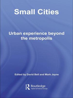 Cover of the book Small Cities by Heather K. Evans