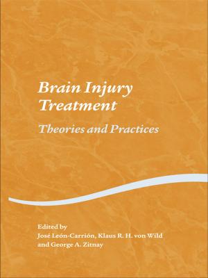 Cover of the book Brain Injury Treatment by Terezinha Nunes, Peter Bryant