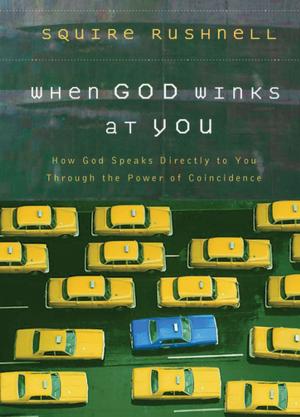 Book cover of When God Winks at You