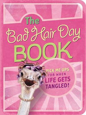 Cover of the book The Bad Hair Day Book by Carrie Stuart Parks