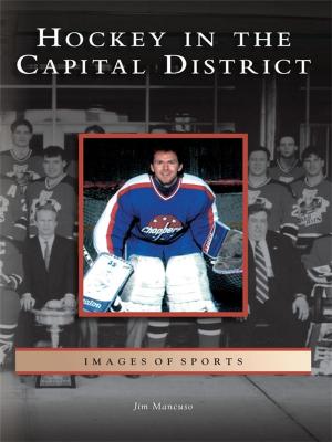Cover of the book Hockey in the Capital District by Michael Curtis