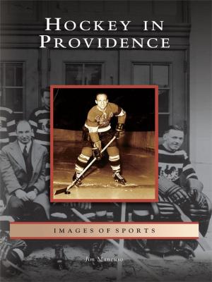 Book cover of Hockey in Providence