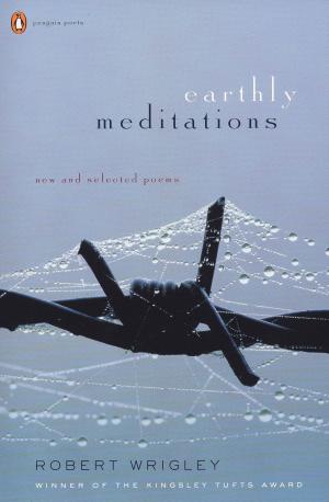 Cover of the book Earthly Meditations by Charles Barkley