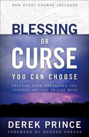 Cover of the book Blessing or Curse by Lynn Austin, Lynn Austin