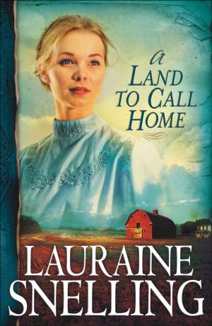 Cover of the book Land to Call Home, A (Red River of the North Book #3) by Elaine A. Heath