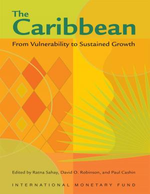 Book cover of The Caribbean: From Vulnerability to Sustained Growth