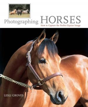 Cover of the book Photographing Horses by Charles W. Sasser, Robert Maras