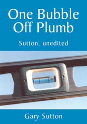 Cover of the book One Bubble off Plumb by Stitch Frizbin