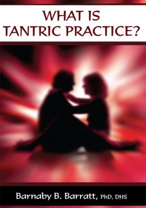 Cover of the book What Is Tantric Practice? by Carole McCaskill